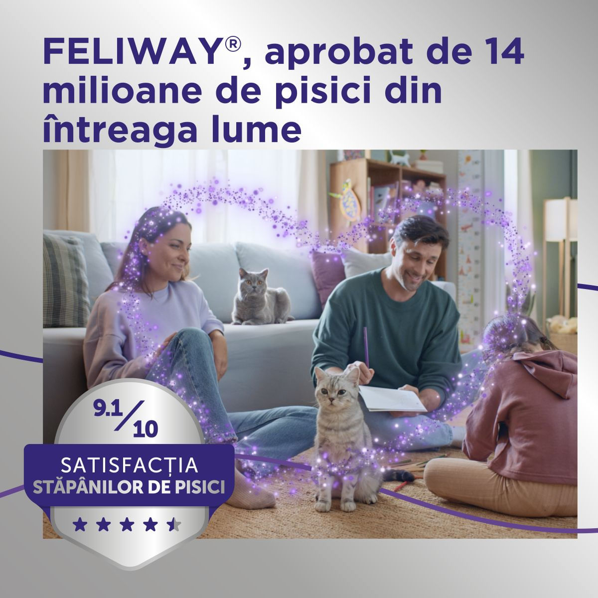 FELIWAY Optimum Rezervă diffuser, feromoni, sistem nervos &amp; calmante pisici, 48ml